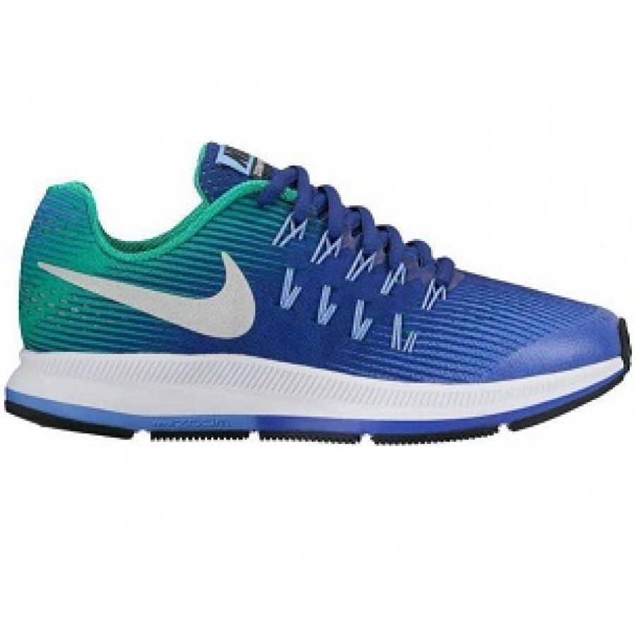 Zoom Pegasus 33 (GS) - NIKE - 834316-403